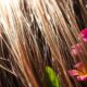 glycolic acid benefits hair