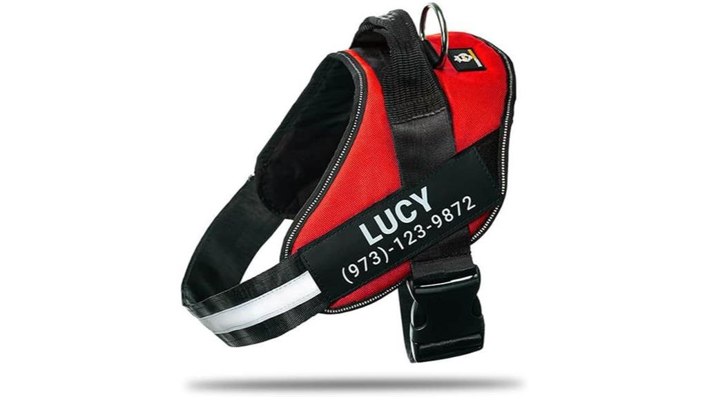 custom name patch harness