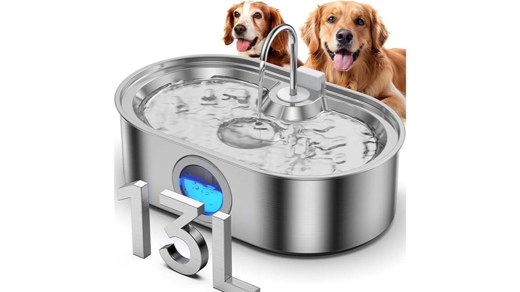large dog water fountain
