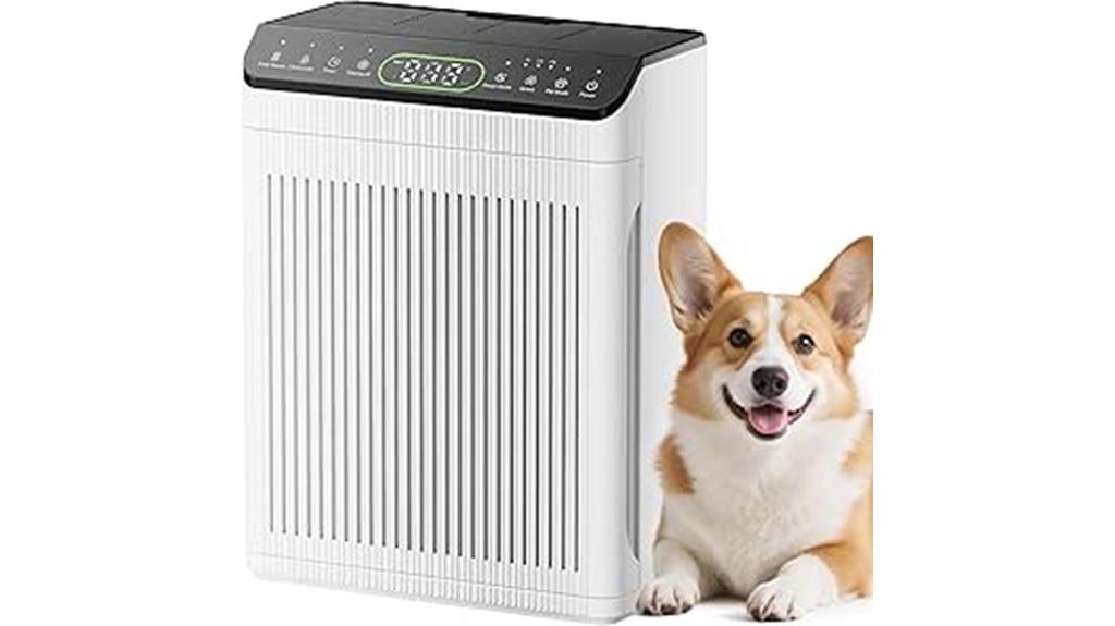 large room air purifier