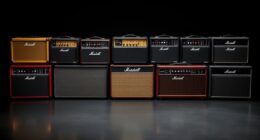 premium luxury guitar amps