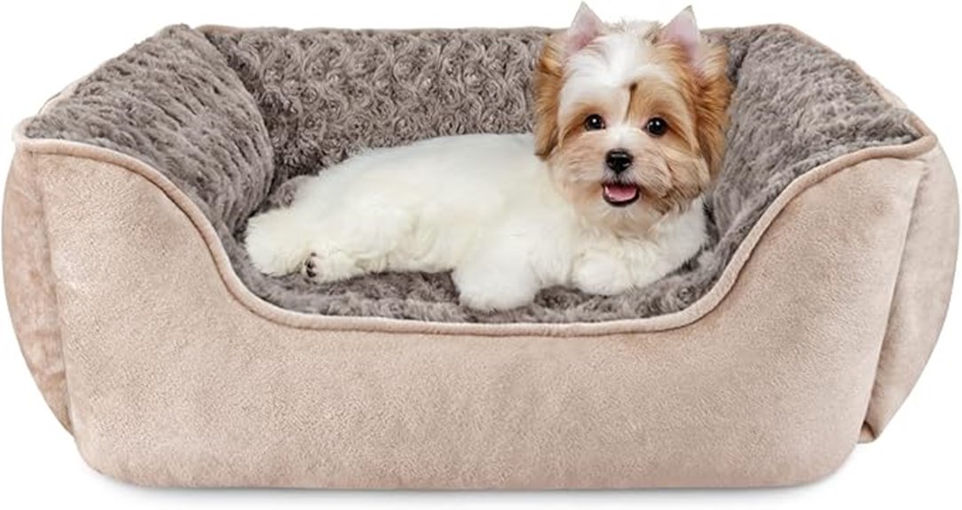 rectangle dog bed sizes
