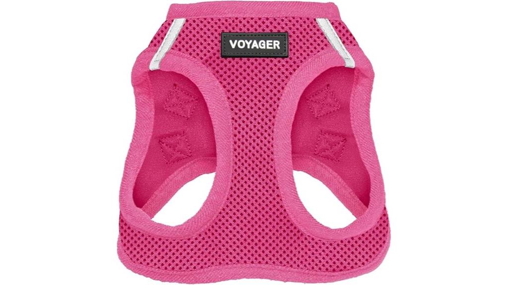 secure easy to use harness