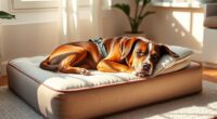 top orthopedic pet mattress picks