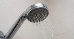 limitations of shower filters