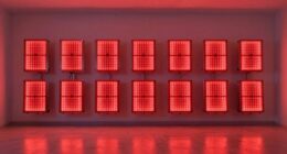 top red light therapy panels