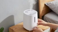 13 Best Humidifier and Air Purifier Combo in 2026 — The Ultimate Buyer’s Guide