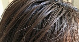 dry fast drying high porosity